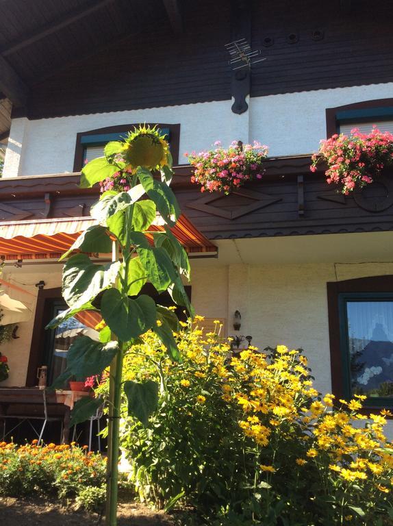 Ferienwohnung Gerti Kalt Lieserhofen Exterior photo